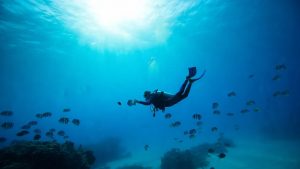 到 2030 年绘制整个海底地图的项目通过 20% 大关