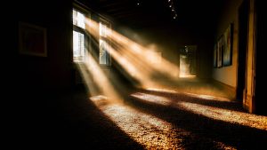 一种新型视错觉诱使大脑看到令人眼花缭乱的光线