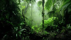 为什么湿气这么难受？